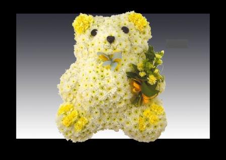 Teddy-bear